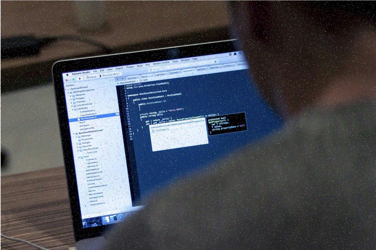 Précision algorithmique